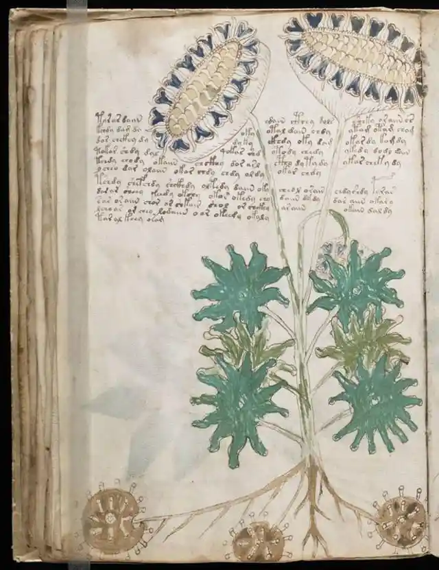 The Mystery Of The Voynich Manuscript