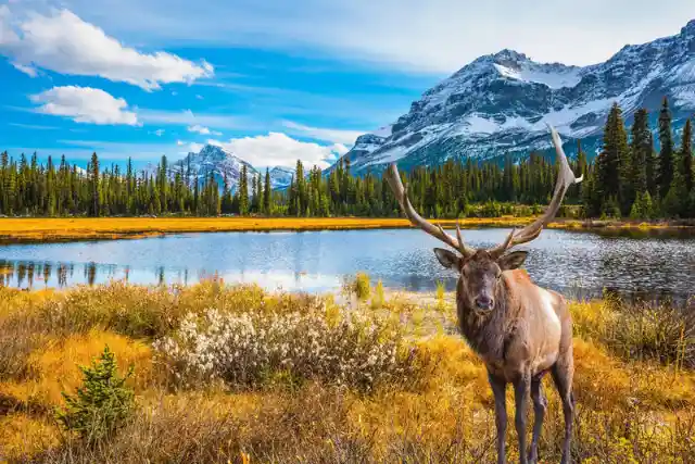 Qual è la capitale del Canada?