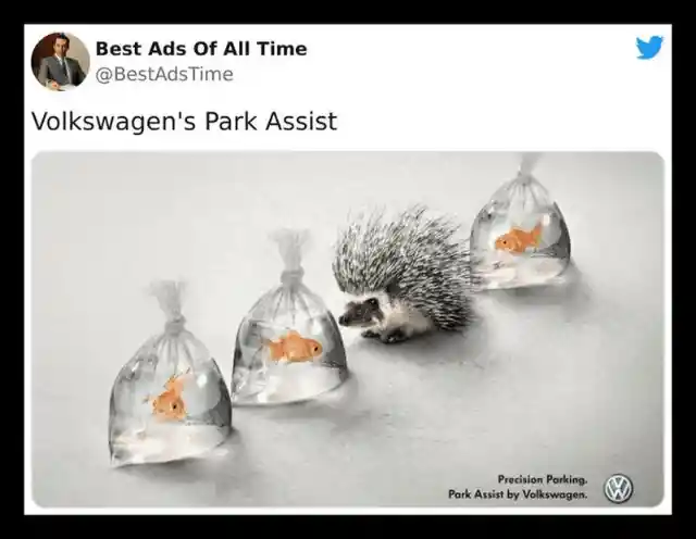 The Park Assist Feature By Volkswagen