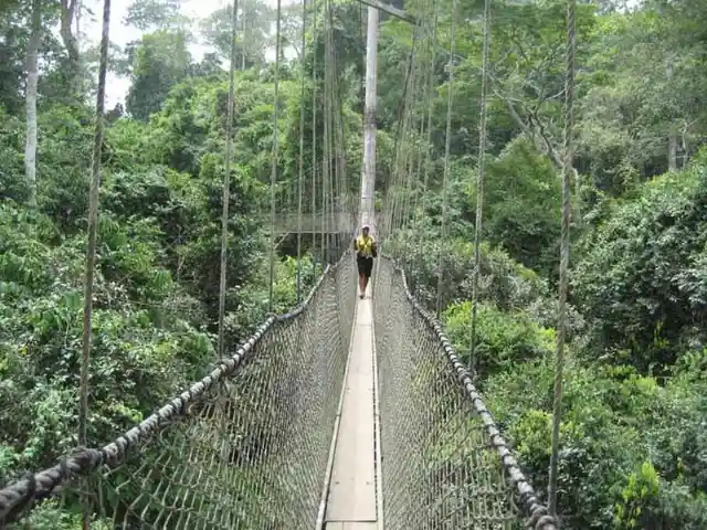 Kakum Canopy Walkway – Ghana