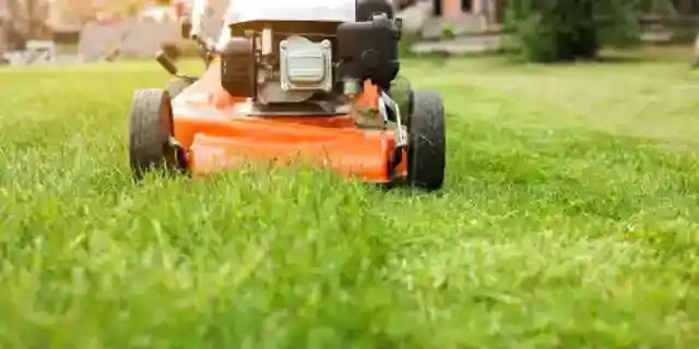 I Mowed the Lawn for the 82-Year-Old Widow Next Door – The Next Morning, a Sheriff Woke Me up with a Request That Made My Blood Run Cold