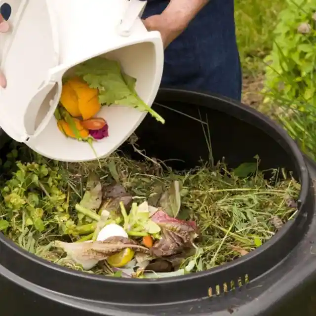 Compost Pit Mistakes