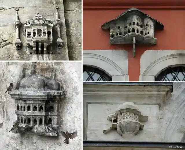 Birdhouses of the Ottoman Empire