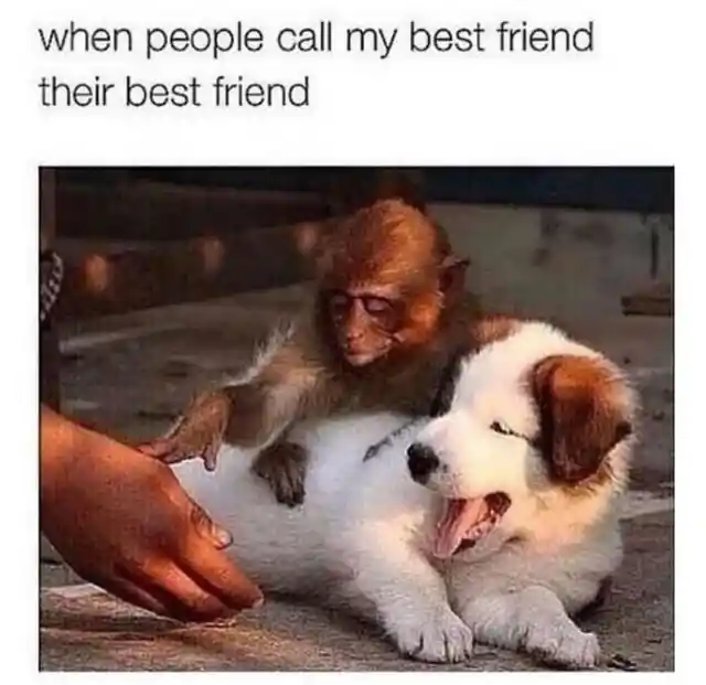 Best of Friends