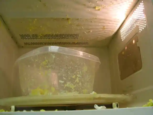 Hard-Boiled Eggs