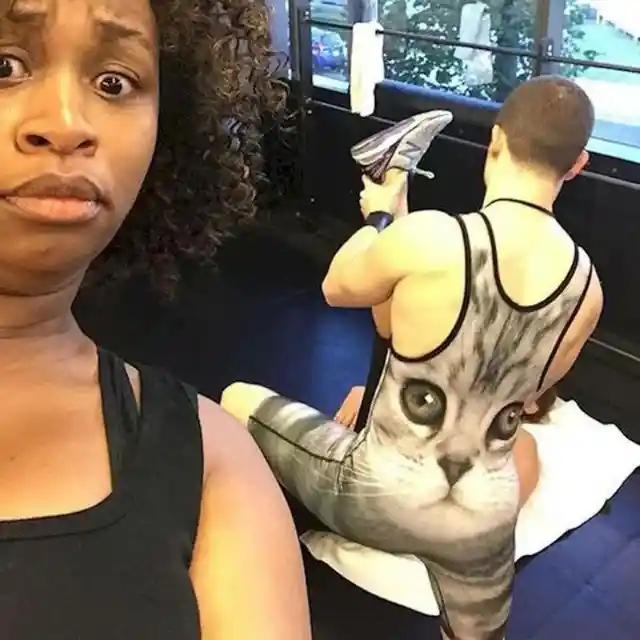 Furry Fitness