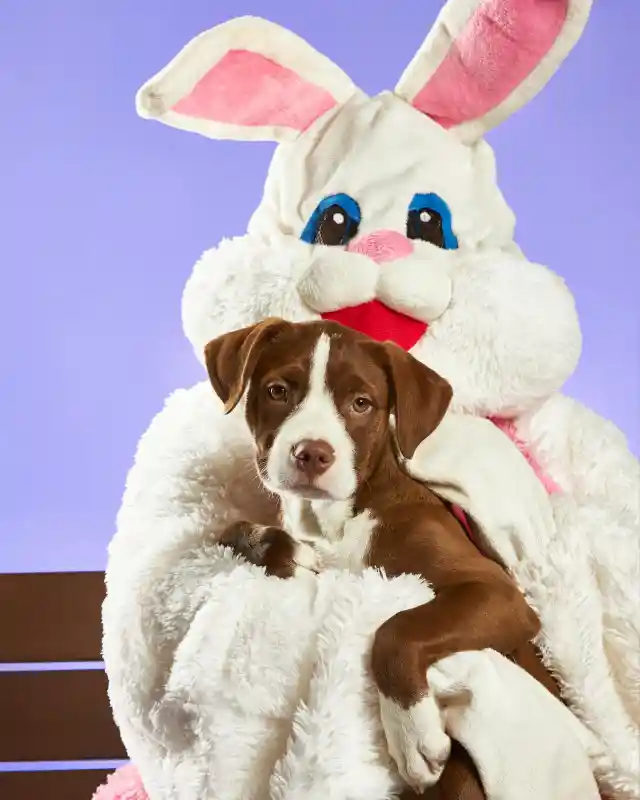 My MIL and Husband's Sisters Forced Me to Clean Up Alone After Easter Feast—I Agreed, but They Weren't Ready for My 'Surprise'