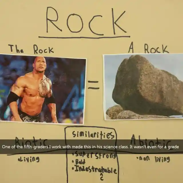 The Rock vs A Rock