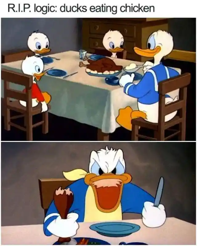 Ducks eating chicken