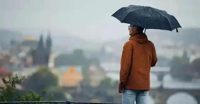 Dinner That Sparked a Dream