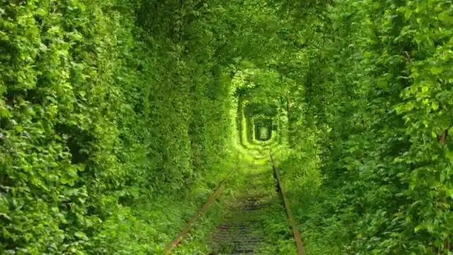 The Tunnel of Love in Ukraine