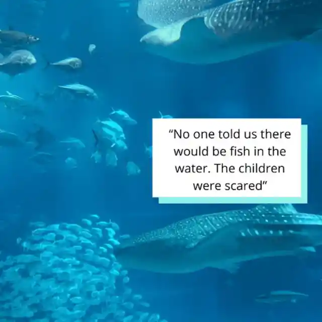 How Dare You Keep Fish in Your Aquarium?