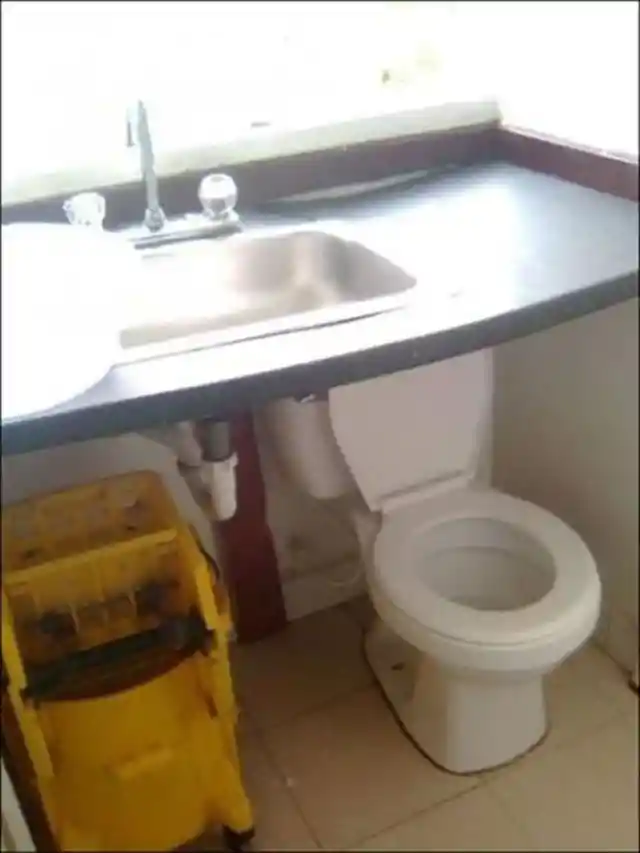 What Is This - A Toilet For Ants?