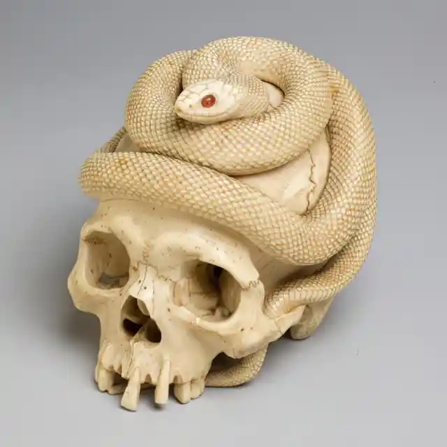 Ivory Snake and Skull