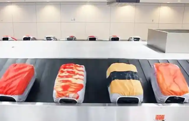 Sushi Inspired Luggage Cover