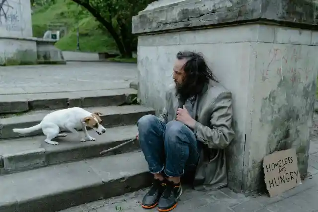 I Gave Food to a Hungry Veteran and His Dog – a Month Later, My Boss Dragged Me into His Office, Furious, and My Whole Life Flipped Upside Down