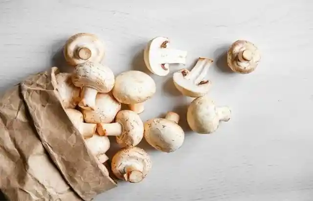 Storing Your Fresh Mushroom