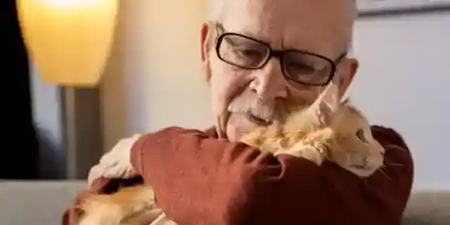 My Neighbor Disappeared After Asking Me to Watch His Cat – Then I Discovered a Key Hidden in Its Collar