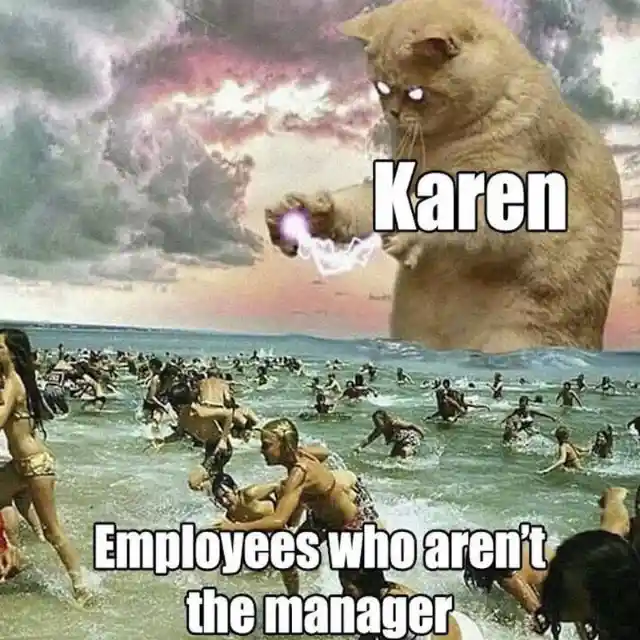 Feel Karen’s Wrath