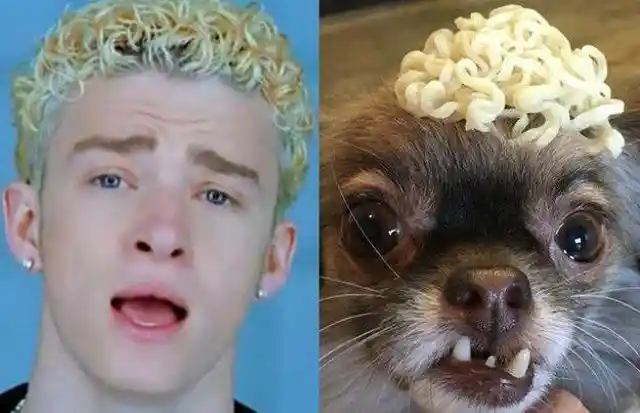 Ramen Noodle Hair