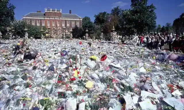30. Diana Remembered
