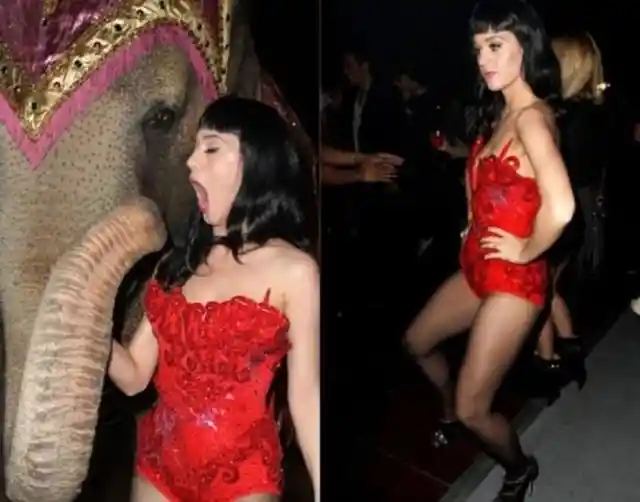 Katy Perry und der Elefant