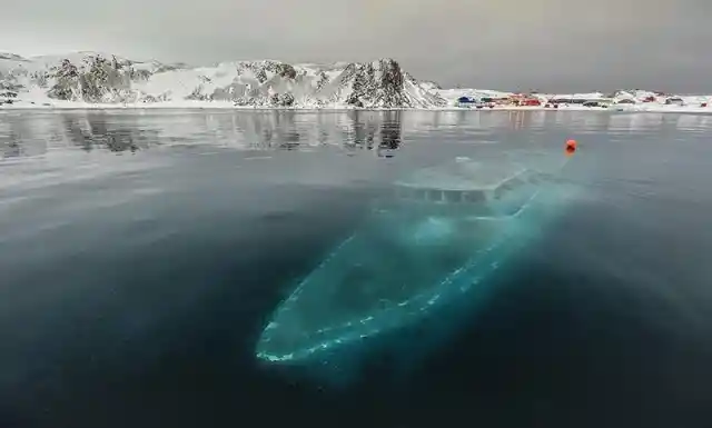 Sunken Yacht - Ardley Cove, Antarctica