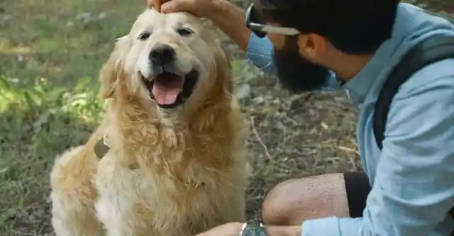 Mark’s Backyard Inspection