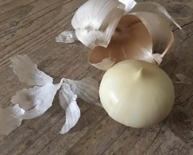 Garlic Power