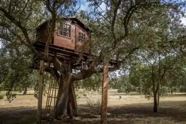 My Eight-Year-Old Kept Vanishing in His Treehouse for Hours – Until I Heard a Voice That Sounded Like My Late Husband
