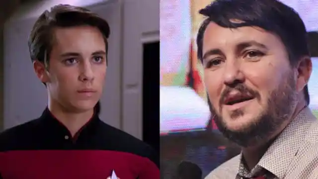 Wil Wheaton as Wesley Crusher