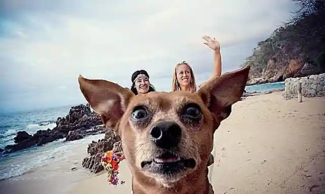 Who Is The Photobomber?