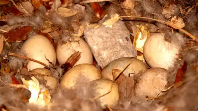 Getting Sick And Tired