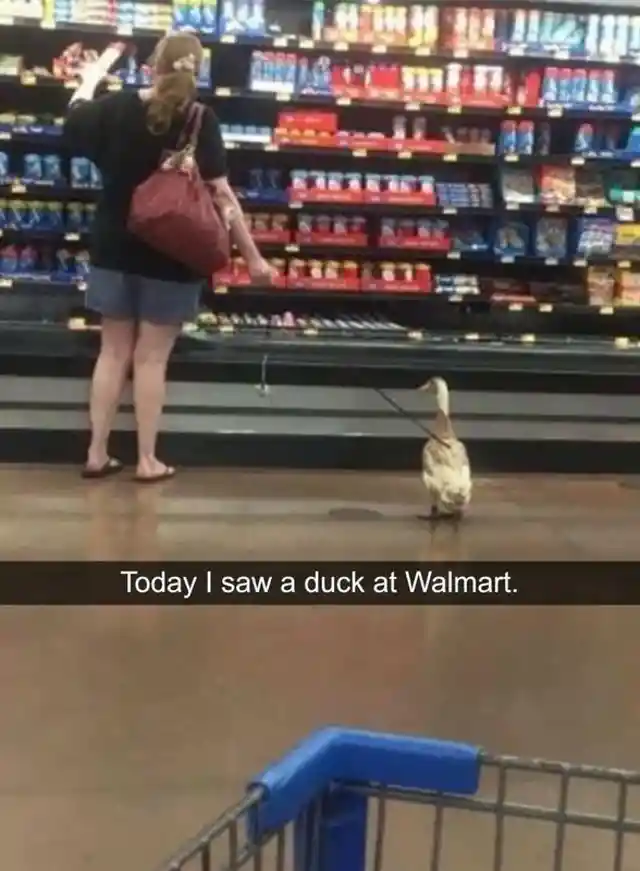 Quacking in the supermarket