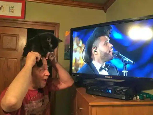 Cat Dad vs. The Weeknd