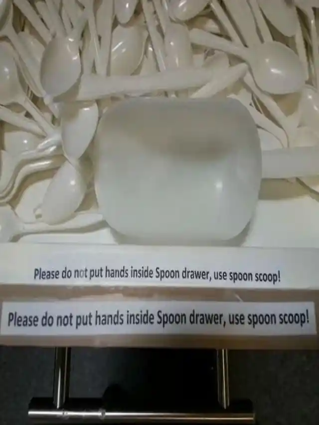 The Spoon Scoop