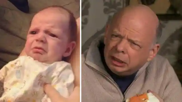 Another Wallace Shawn Look-Alike