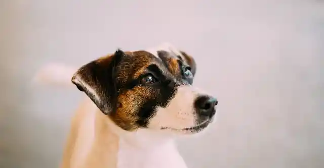 Waiting for the Verdict