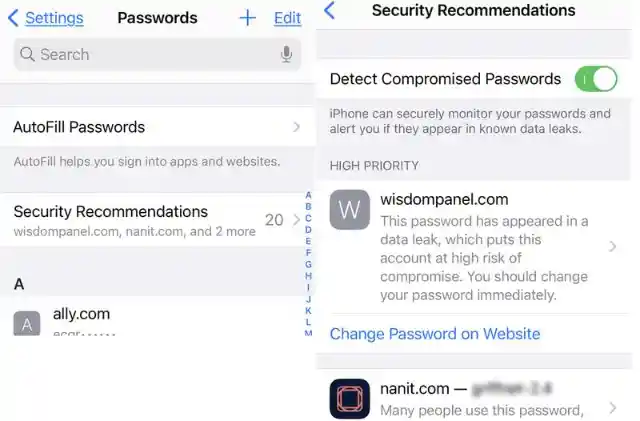 Extra Security for Your Stored Passwords (iOS 14)