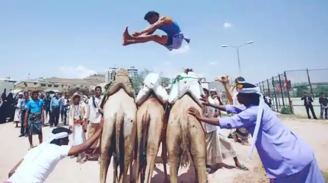 Camel Jumping