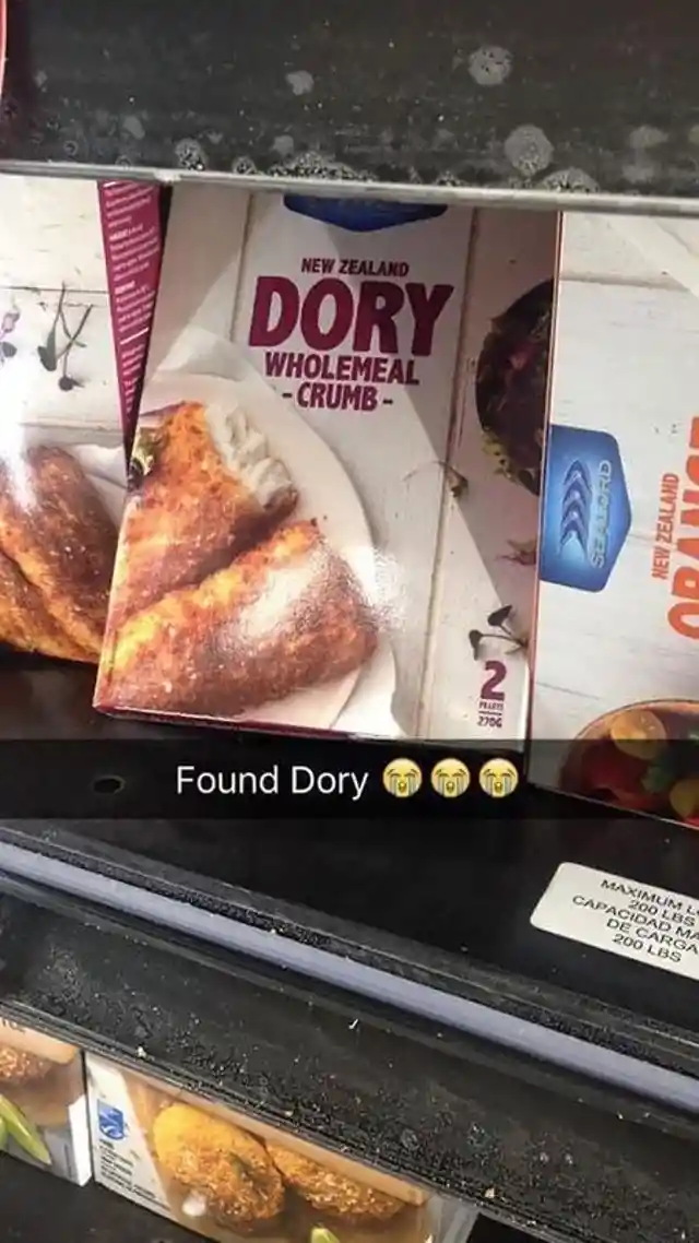 Finally Found Dory