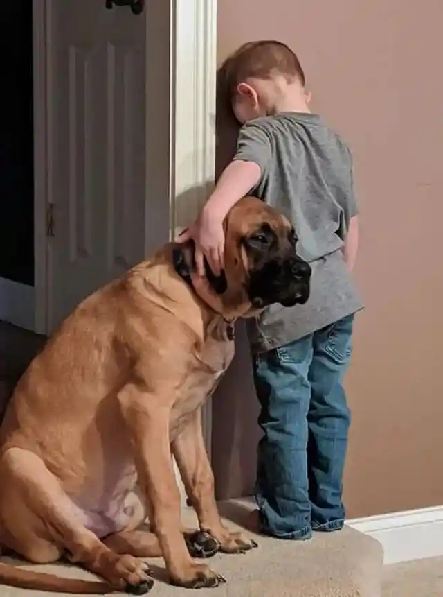 Loyal Dog Keeps Boy Company During Time-Out Session