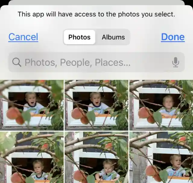 Gain Greater Control Over Access to Your Photos (iOS 14)