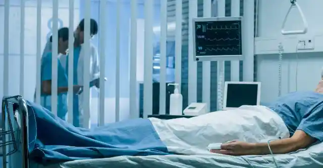 Small Gestures of Life