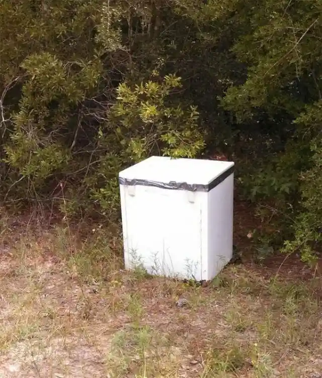 Freezer in the Bushes