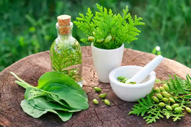 4 Simple Home Remedies Right From Your Garden (Or Apartment!)