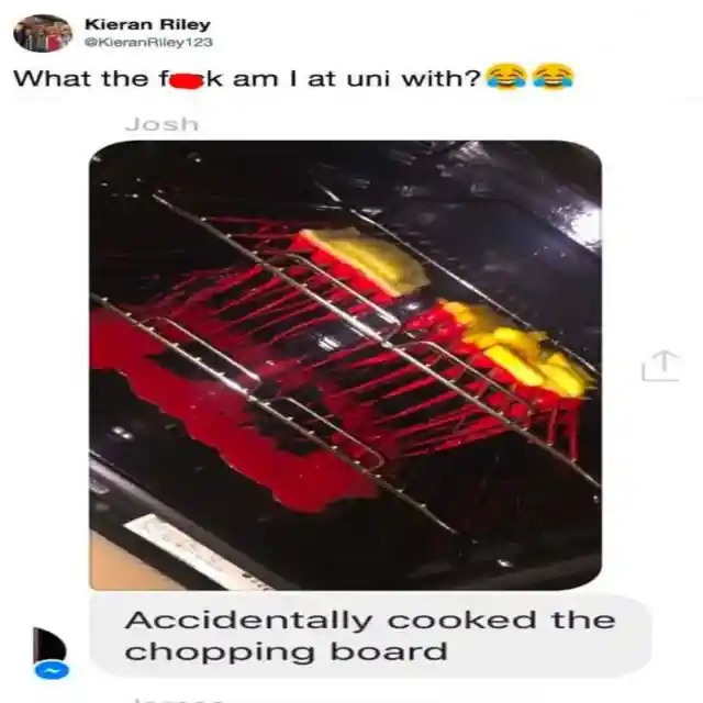 Cooking 101: University Edition