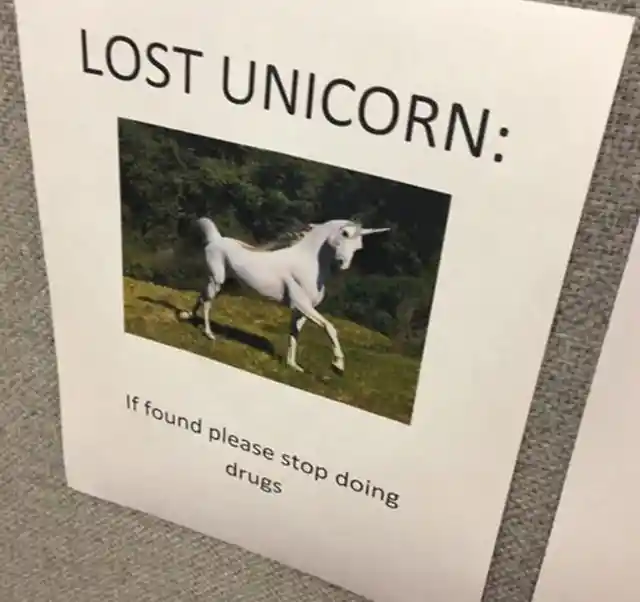 Are Unicorns Real?