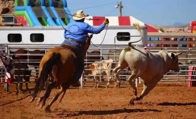 Quale non è una delle principali esportazioni del Texas?