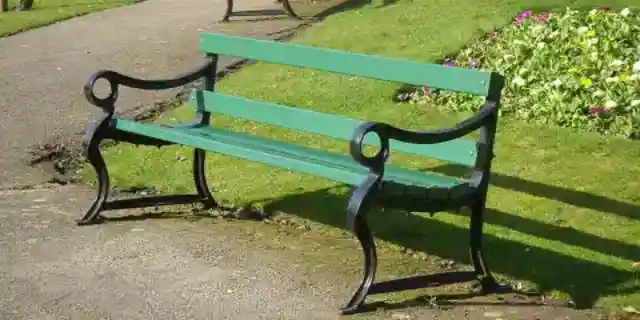 After 60 Years of Visiting Our Special Bench Together with My Wife, I Returned Alone and Couldn't Believe Who Was Sitting There